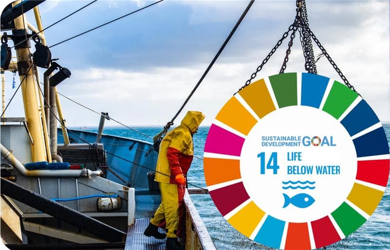 Everyfish ASSIST Software 1