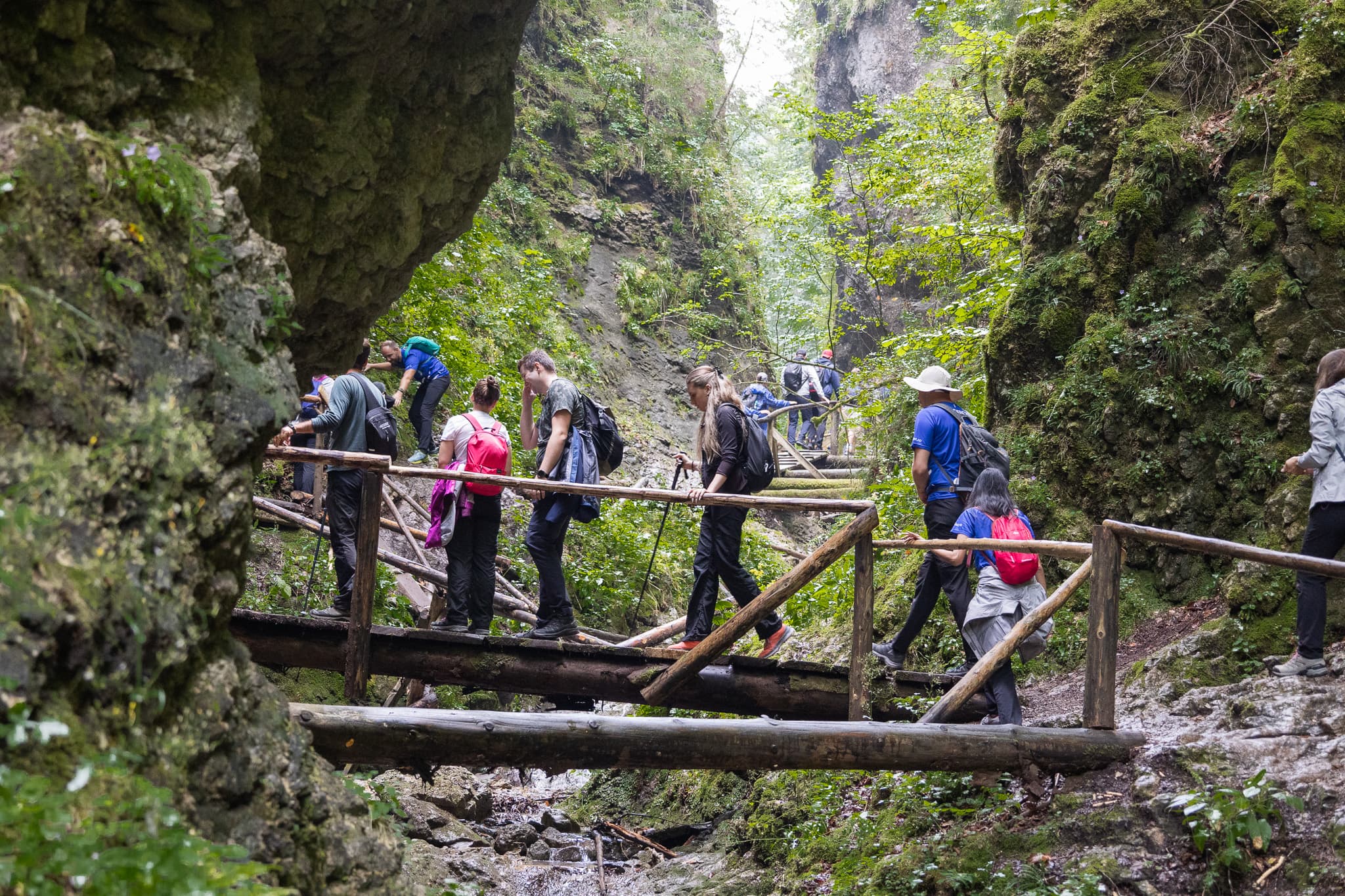 ASSIST Hiking Day 2024: From "The Devil's Mill" to Rarau