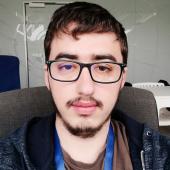 Alexandru Prelipcean - ASSIST Software