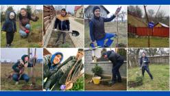 Tree Planting Challenge organized by ASSIST Software - promoted picture